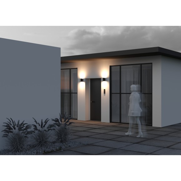 Настенный светильник (бра) Outdoor O303WL-L10GF3K