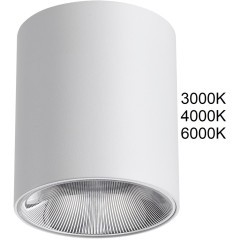 Потолочный светильник IP20 LED 12W 960Лм 3000K/4000K/6000K 36° 220-240V BRIM 7139/12CL Потолочный светильник IP20 LED 12W 960Лм 3000K/4000K/6000K 36° 220-240V BRIM 7139/12CL