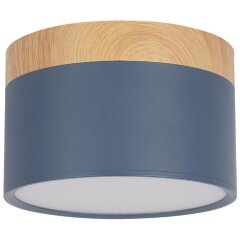 10162 Blue Накладной светильник LOFT IT Grape 10162 Blue Накладной светильник LOFT IT Grape