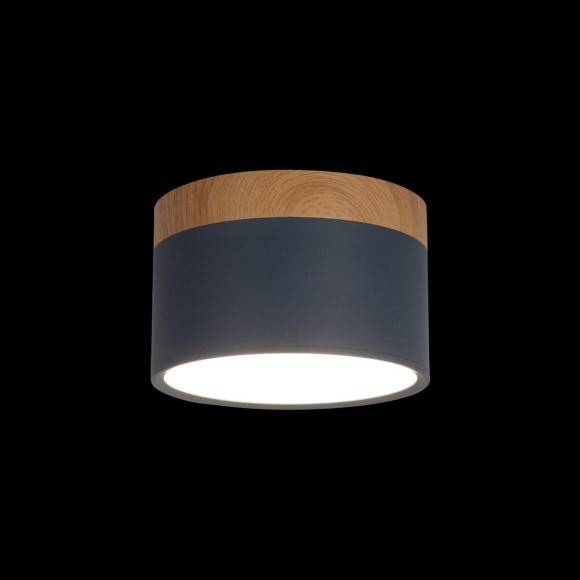 10162 Blue Накладной светильник LOFT IT Grape