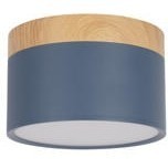 10162 Blue Накладной светильник LOFT IT Grape