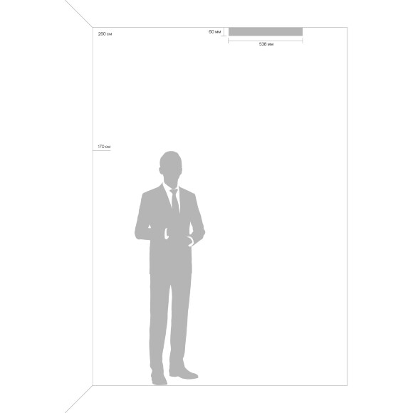 Настенный светильник (бра) Freya FR8016WL-01BBS