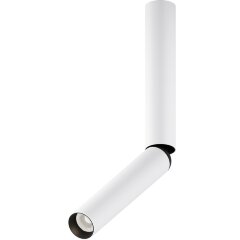 Потолочный светильник Technical C142CL-6W4K-W