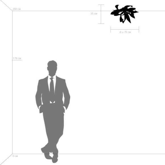 Люстра потолочная Lightstar 754169 Turbio под лампы 6xG9 36W