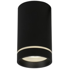 Потолочный спот APL.0054.19.10