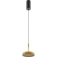 Подвесной светильник Maytoni MOD041PL-L15G3K