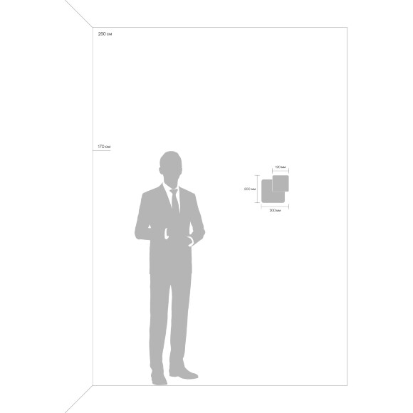 Настенный светильник (бра) Freya FR10027WL-L13W