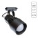 Однофазный двужильный трековый светильник Arte Lamp A6252PL-1BK LYRA под сменную лампу Е27