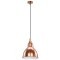 Подвесной светильник с 1 плафоном Lightstar 765013 Loft под лампу 1xE14 40W