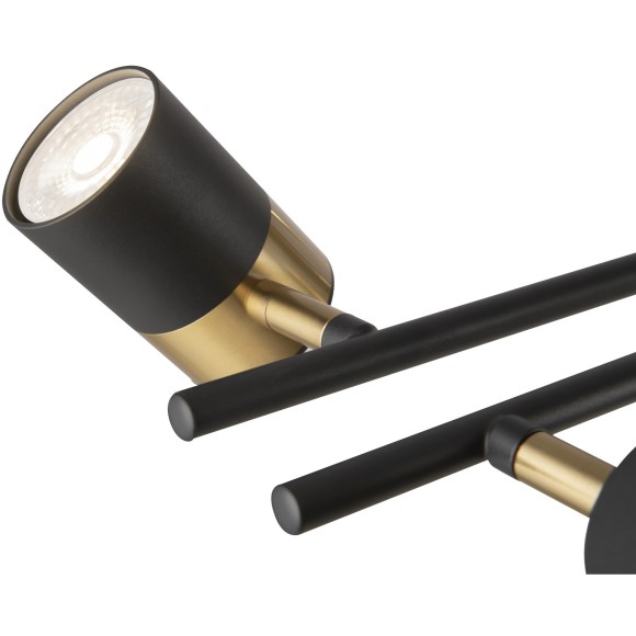 Потолочная люстра на штанге Enzo FR5201PL-10B