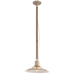 Подвесной светильник с 1 плафоном Lussole LSP-8742 CHICAGO IP21 под лампу 1xE27 60W