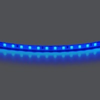 Лента цветного свечения 24V, синий Lightstar Lightstar 420515