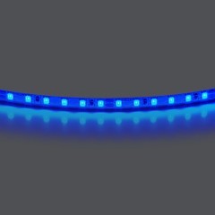 Лента цветного свечения 24V, синий Lightstar Lightstar 420515