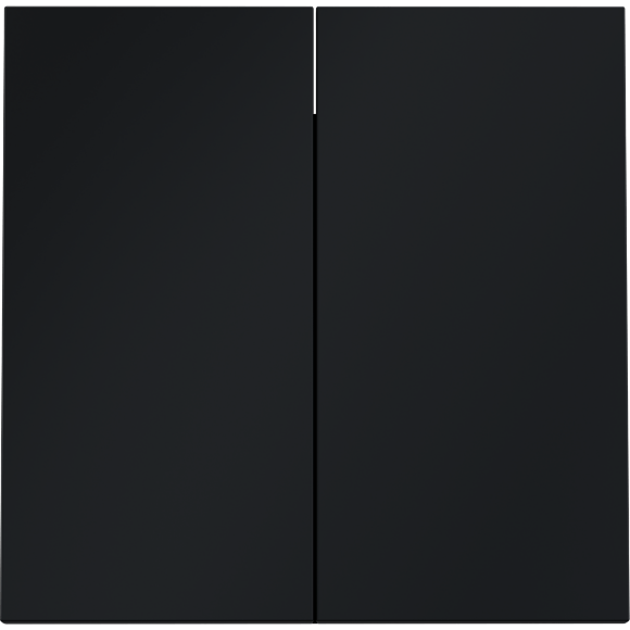 Клавиши для выключателя/переключателя двухклавишного, S70 (графит)