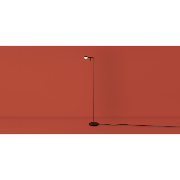 Напольный светильник (торшер) Freya FR5549FL-L5B