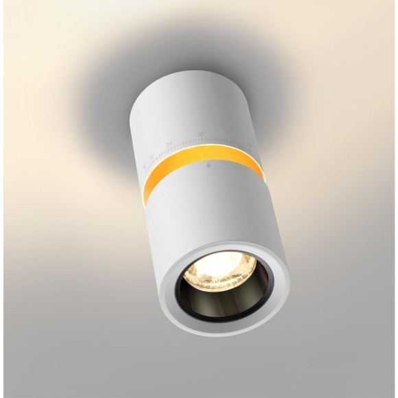 Светильник накладной светодиодный LED 10W/3W 3000K 1090Лм Novotech ARISTO 359337