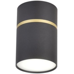 Точечный светильник Dunia 3068-1C