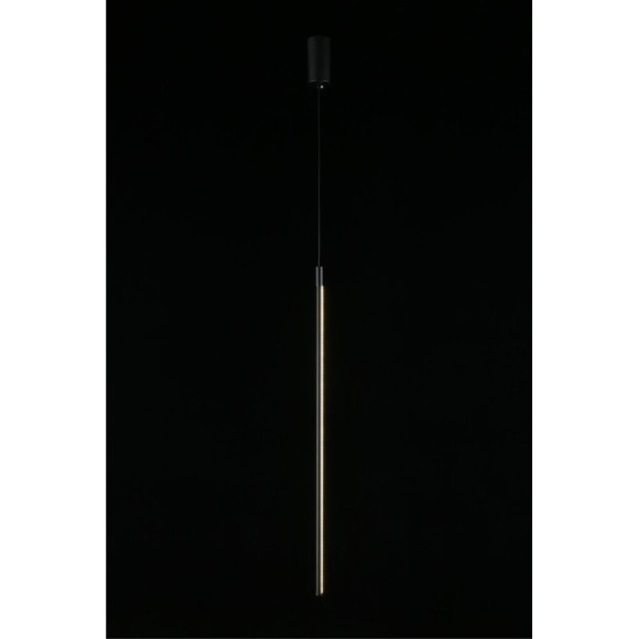 Светильник подвесной APL.0124.06.15