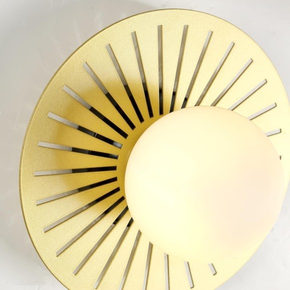 Настенный светильник Sonnenblume 2356-1W