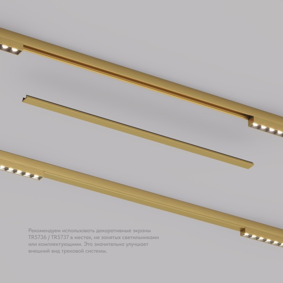 Заглушка 50см для лицевой части шинопровода Denkirs Shine 48V TR5737-SB Заглушка 50см для лицевой части шинопровода Denkirs Shine 48V TR5737-SB