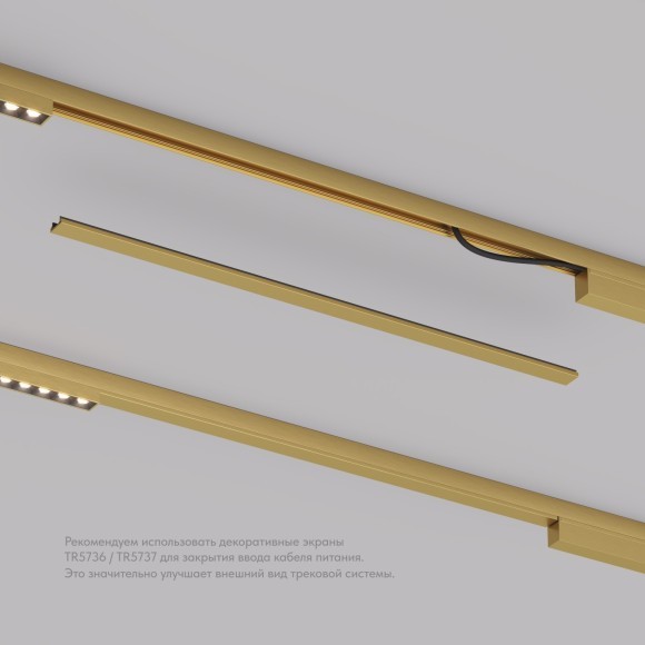 Заглушка 50см для лицевой части шинопровода Denkirs Shine 48V TR5737-SB Заглушка 50см для лицевой части шинопровода Denkirs Shine 48V TR5737-SB