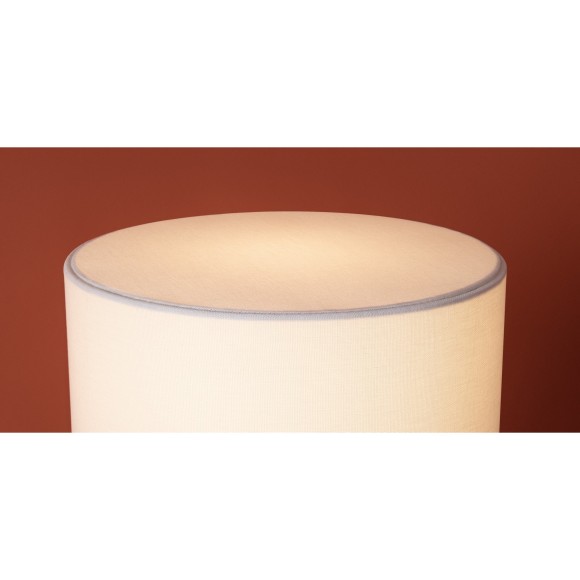 Настольный светильник Freya FR2054TL-01BS2