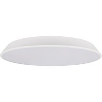 10226 White Потолочный светильник LOFT IT Brim