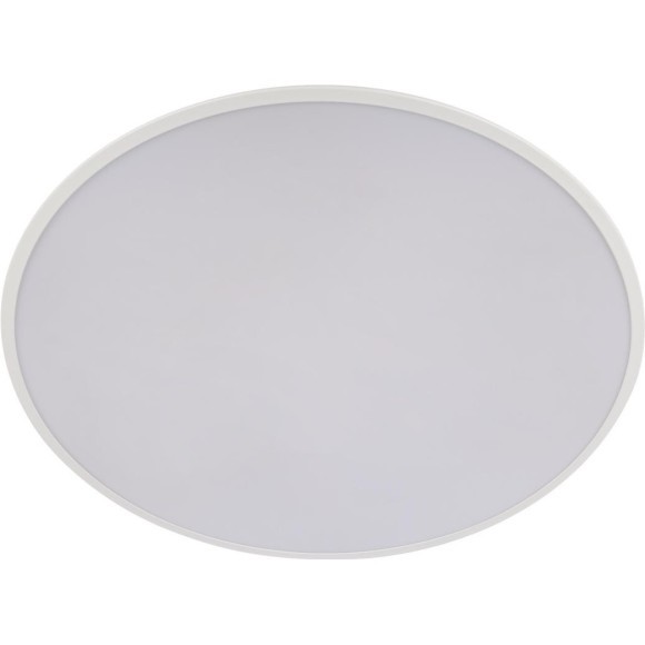 10226 White Потолочный светильник LOFT IT Brim