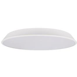 10226 White Потолочный светильник LOFT IT Brim