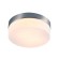 Уличный потолочный светильник Arte Lamp A6047PL-2SS AQUA-TABLET IP44 под лампы 2xE27 60W