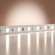 Светодиодная лента Base 12В 2835 9,6Вт/м 6000K 5м IP 20 Led Strip 201170