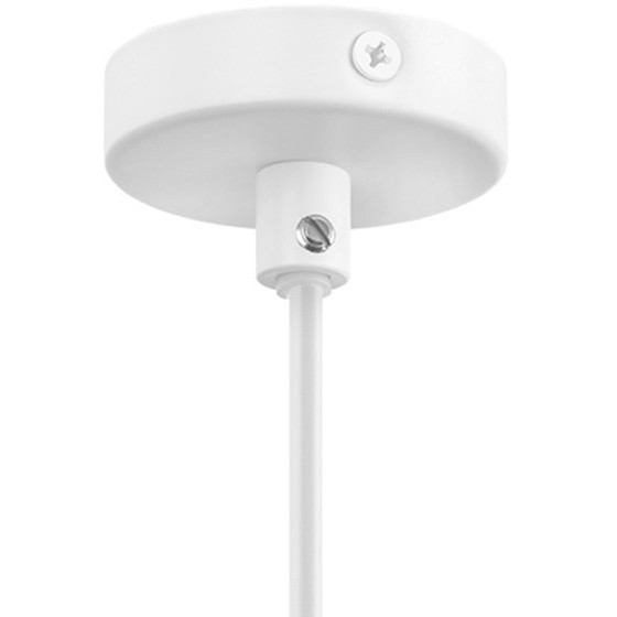 Подвесной светильник с 1 плафоном Lightstar 765016 Loft под лампу 1xE14 40W