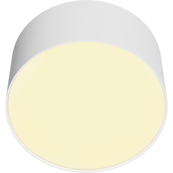 Потолочный светильник Technical C032CL-12W2.7K-RD-W