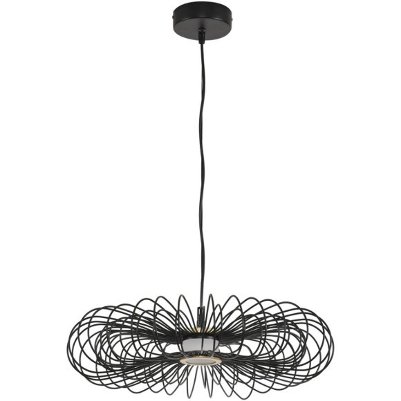 Подвес LED 9W 3000K Lumion CAMOMILE 8301/9L Подвес LED 9W 3000K Lumion CAMOMILE 8301/9L