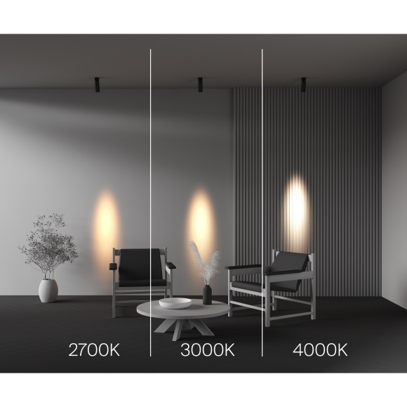 Потолочный светильник Technical C055CL-L12W2.7K-SS-B