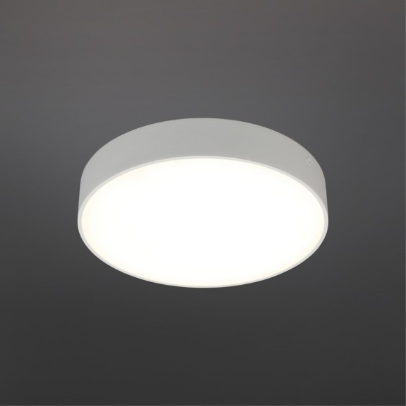 Светильник настенно-потолочный APL.0114.09.24