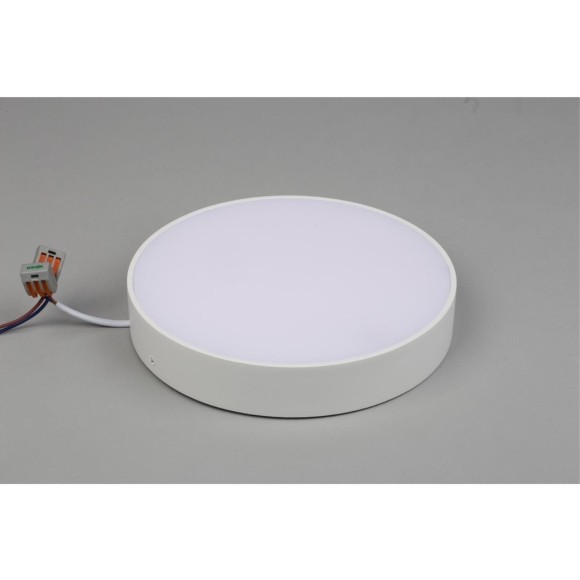 Светильник настенно-потолочный APL.0114.09.24