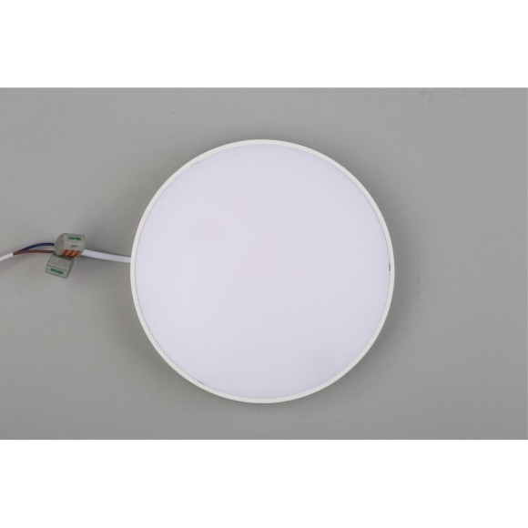 Светильник настенно-потолочный APL.0114.09.24