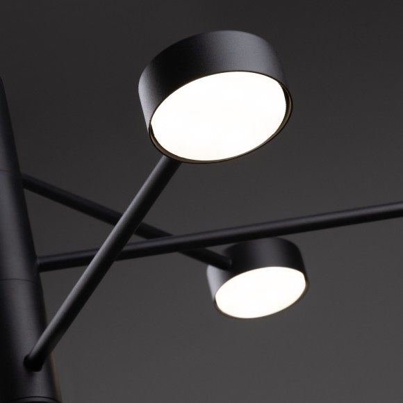 Потолочный светильник Freya FR5363CL-06B Потолочный светильник Freya FR5363CL-06B