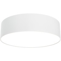 Потолочный светильник Technical C032CL-24W3K-RD-W