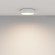 Потолочный светильник Technical C032CL-24W3K-RD-W