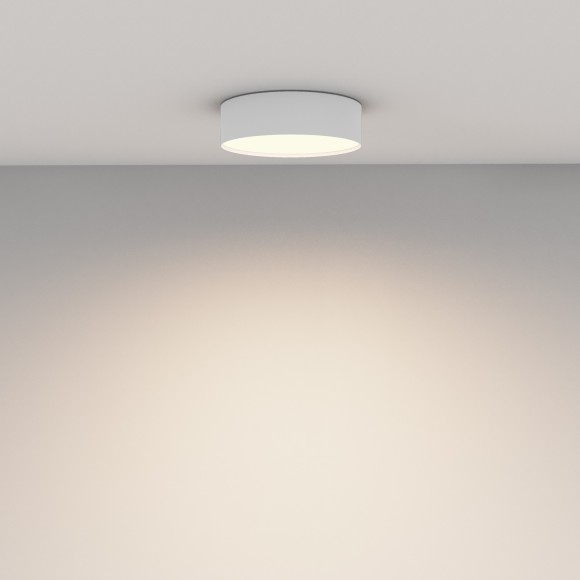 Потолочный светильник Technical C032CL-24W3K-RD-W