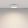 Потолочный светильник Technical C032CL-24W3K-RD-W
