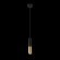 9952-1 Подвесной светильник LOFT IT Ike