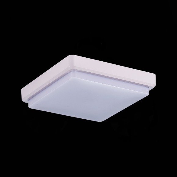 SLE200212-01 Светильник потолочный Белый/Белый LED 1*20W 4000K TADDIO SLE200212-01 Светильник потолочный Белый/Белый LED 1*20W 4000K TADDIO