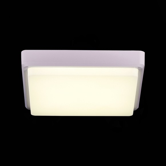 SLE200212-01 Светильник потолочный Белый/Белый LED 1*20W 4000K TADDIO SLE200212-01 Светильник потолочный Белый/Белый LED 1*20W 4000K TADDIO