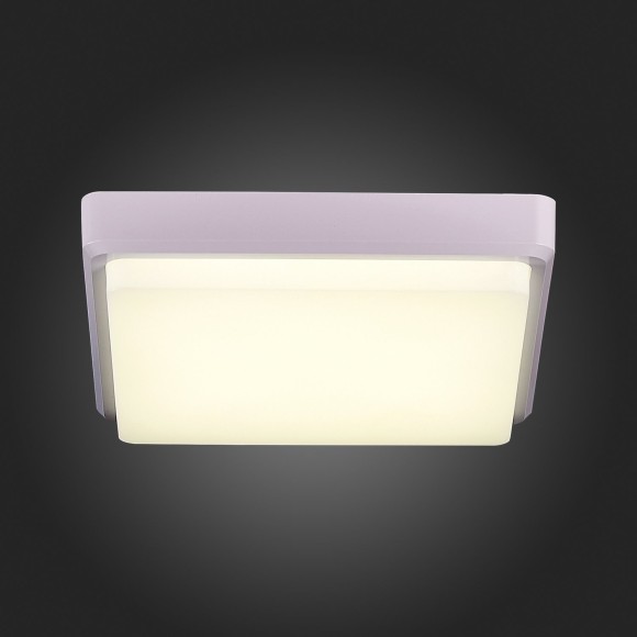 SLE200212-01 Светильник потолочный Белый/Белый LED 1*20W 4000K TADDIO SLE200212-01 Светильник потолочный Белый/Белый LED 1*20W 4000K TADDIO