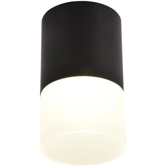 Точечный светильник Naram 3070-1C