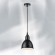Подвесной светильник с 1 плафоном Lightstar 765017 Loft под лампу 1xE14 40W