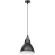 Подвесной светильник с 1 плафоном Lightstar 765017 Loft под лампу 1xE14 40W